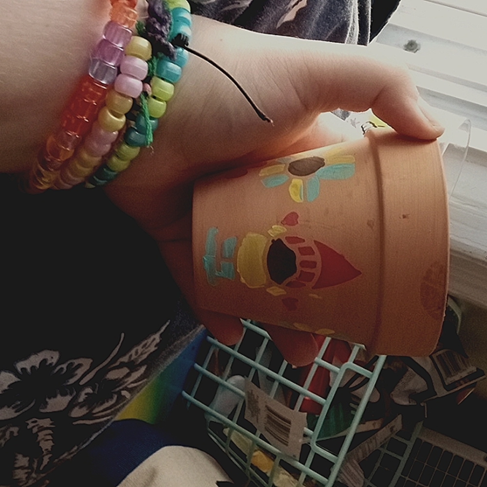 A hand painted flower pot